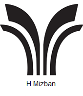 H.Mizan